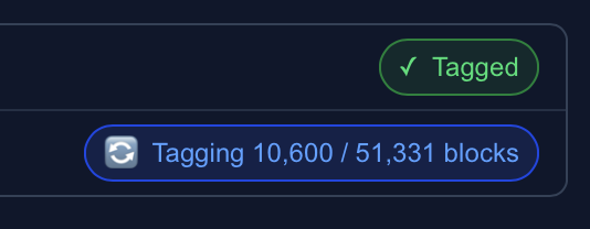 Two pin status badges: a green checkmark reading 'Tagged', and a blue in-progress badge reading 'Tagging 10,600 / 51,331 blocks'